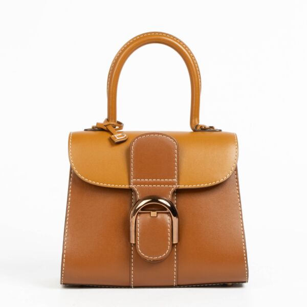 Authentic pre-loved Delveaux Vegetal Camaieux Box Calf Brillant Mini on Labellov.com