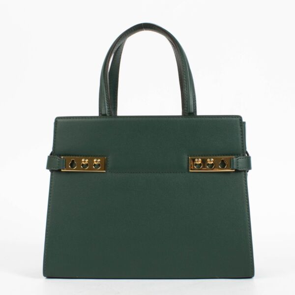 shop 100% authentic second hand Delvaux Pine Silky Calf Tempête Crush Small on Labellov.com
