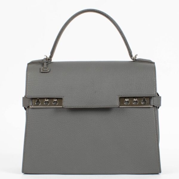 shop 100% authentic second hand Delvaux Stone Crispy Calf Tempête MM on Labellov.com