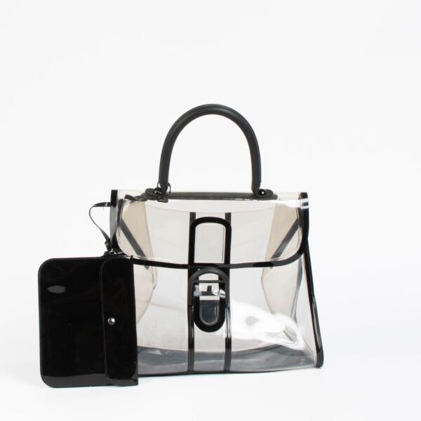 Authentic pre-loved Delvaux Brillant X-ray Top Handle Bag on Labellov.com
