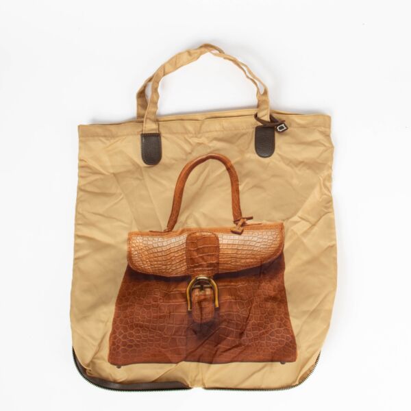 Authentic pre-loved Delvaux Foldable Shopping Bag on Labellov.com