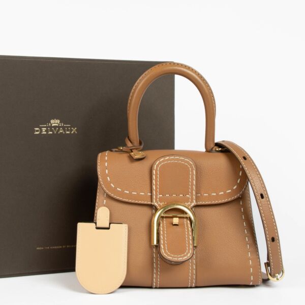 Delvaux Vegetal Rodeo Calf Brillant Mini Surpique Bag