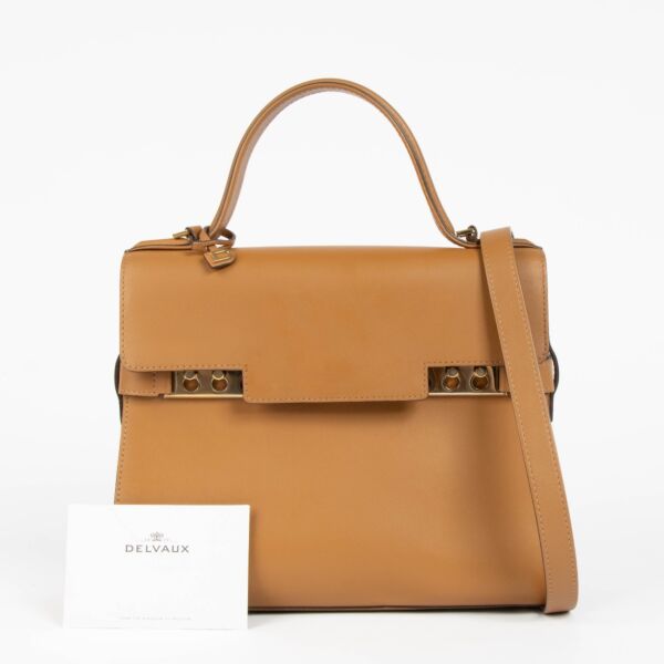 Delvaux Vegetal Supple Calf Tempête MM Bag