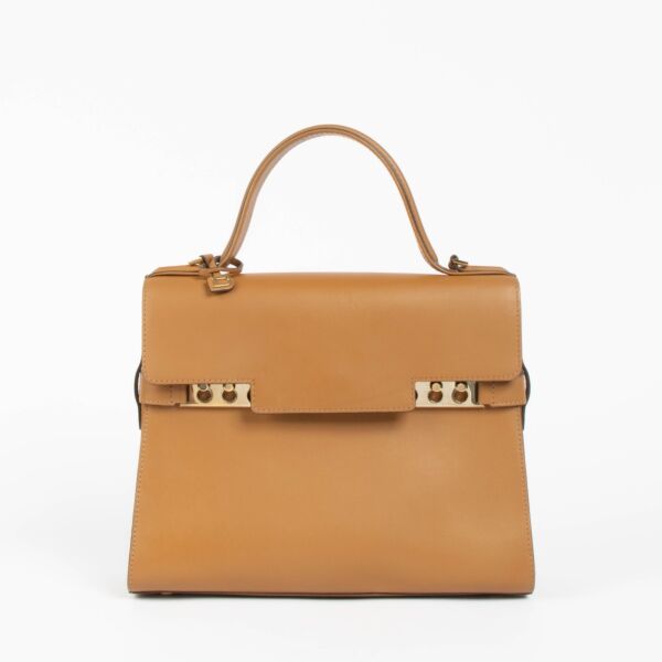 Authentic pre-loved Delvaux Vegetal Supple Calf Tempête MM Bag on Labellov.com