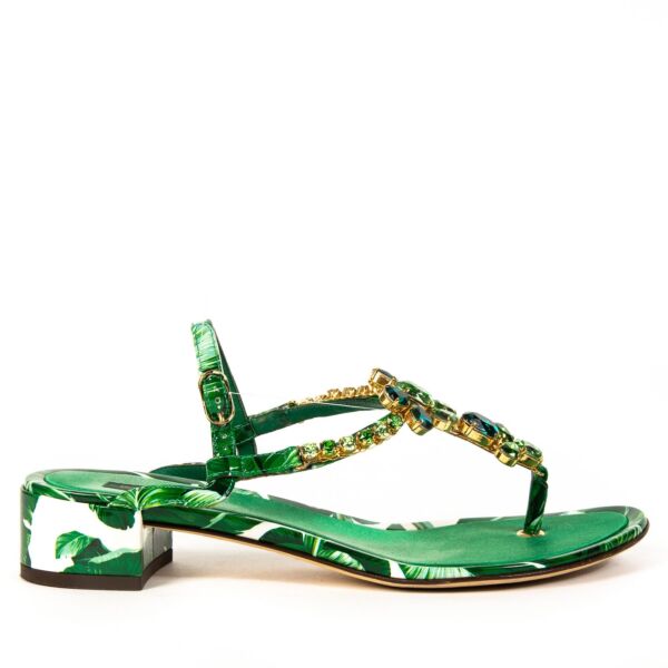 Dolce & Gabbana Green Banana Leaf T Strap Sandals - Size 38 