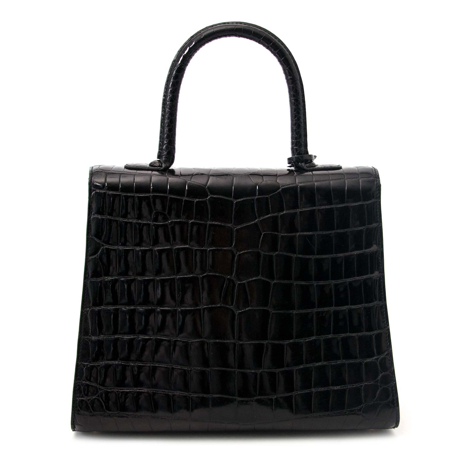 Delvaux crocodile bag price clearance