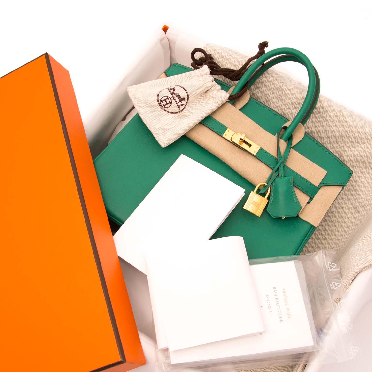 birkin 25 vert vertigo