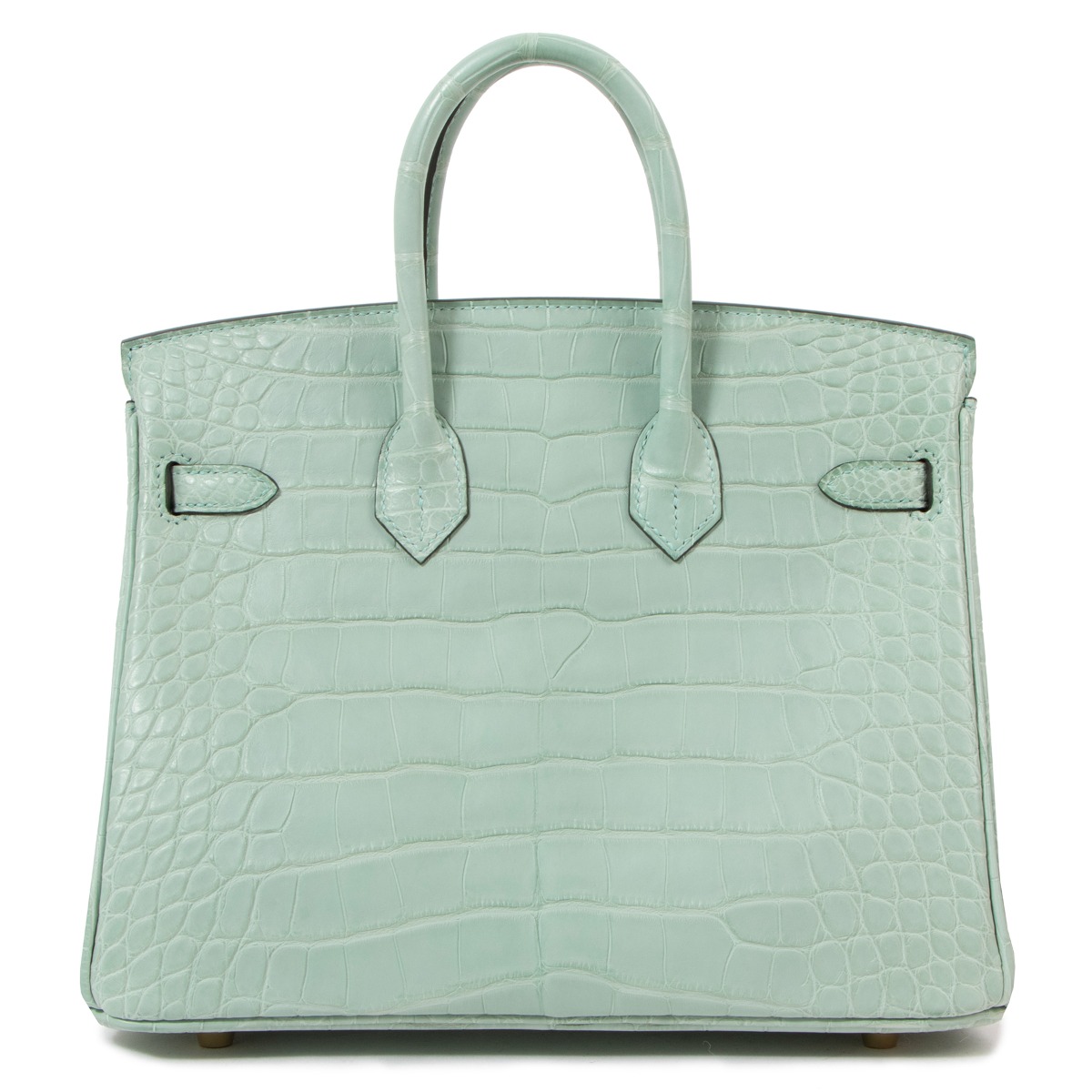 Hermès Birkin 25 Vert d'Eau Matt Alligator Gold Hardware ○ Labellov ○ Buy  and Sell Authentic Luxury