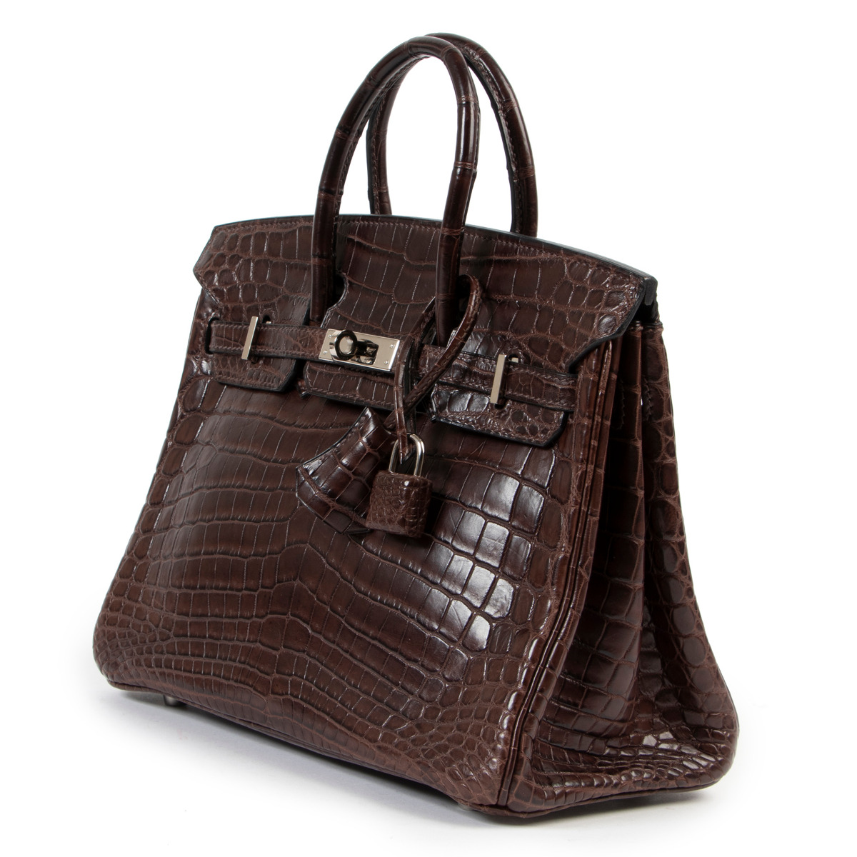 Birkin 25 croc hot sale