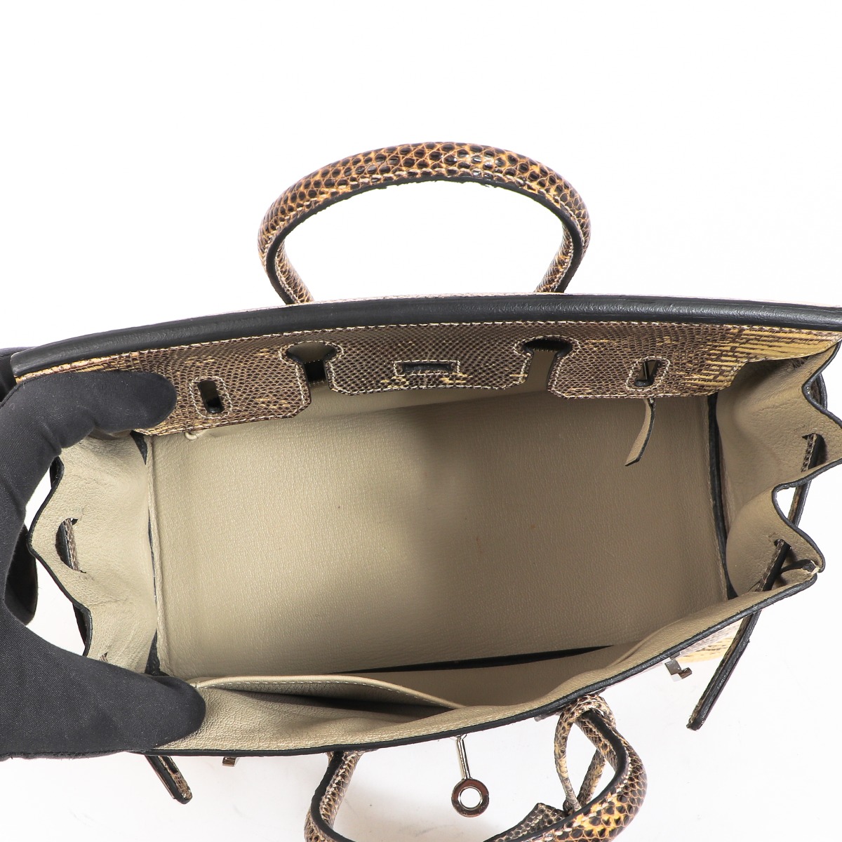 Hermès Birkin 25 Ombre Lizard Bag PHW – ZAK BAGS ©️