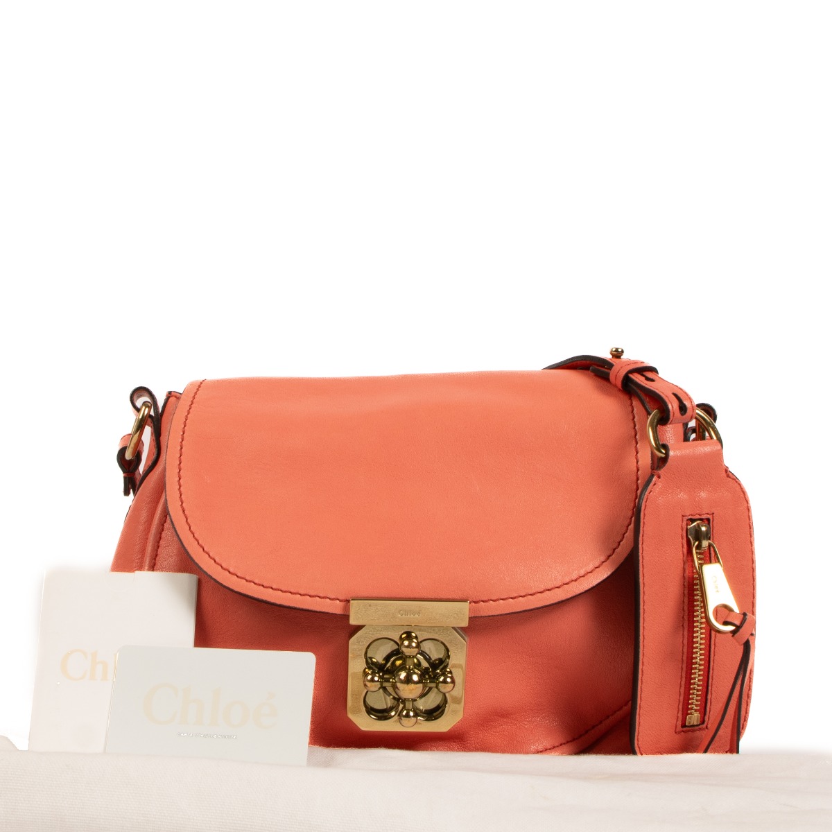 Chloé Coral Pink Goatskin Elsie Bag ○ Labellov ○ Buy and