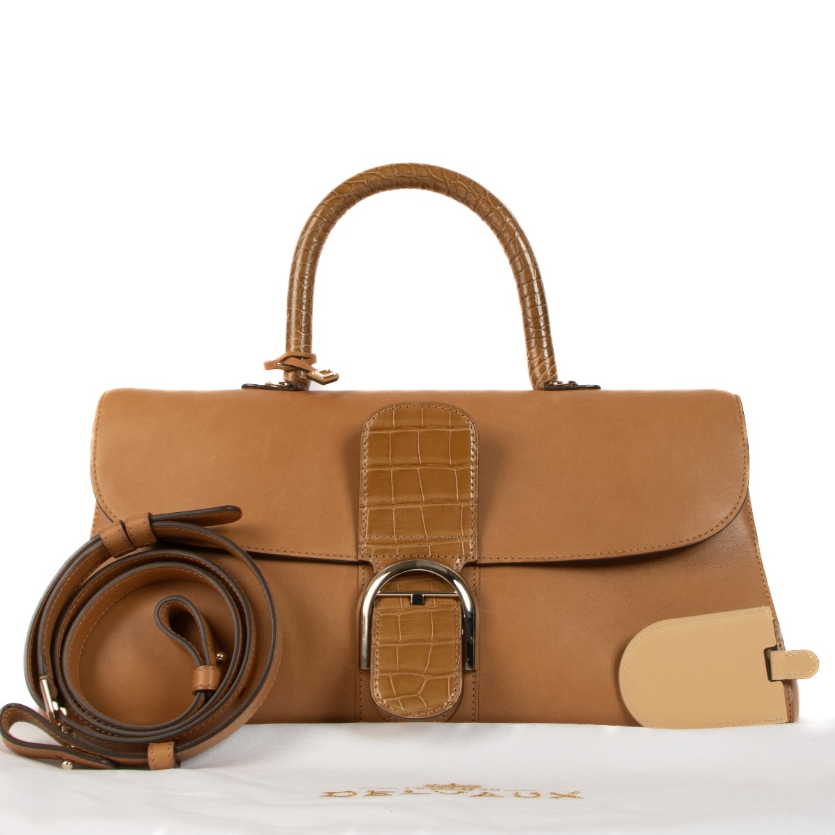 Delvaux Vegetal Dream/Alligator Brillant East/West Bag