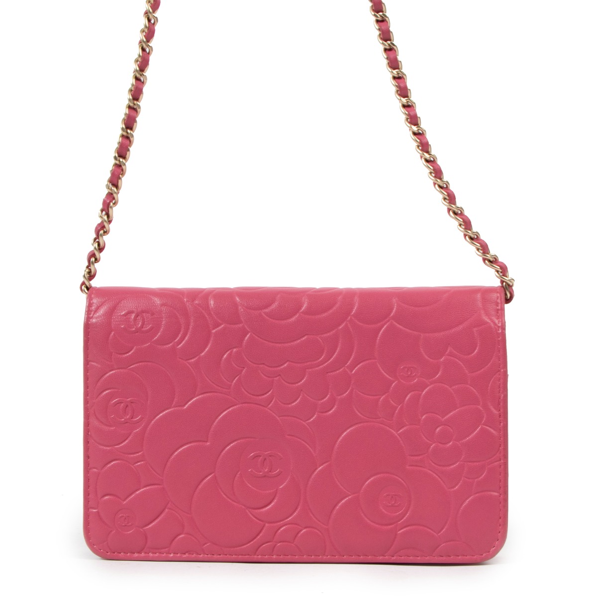 Buy Camellia Bags Online Shopping at