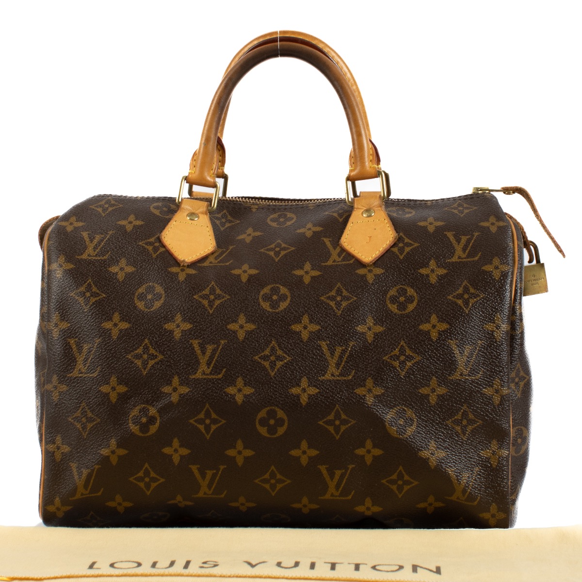 LOUIS VUITTON Monogram Fall for You Speedy Bandouliere 25