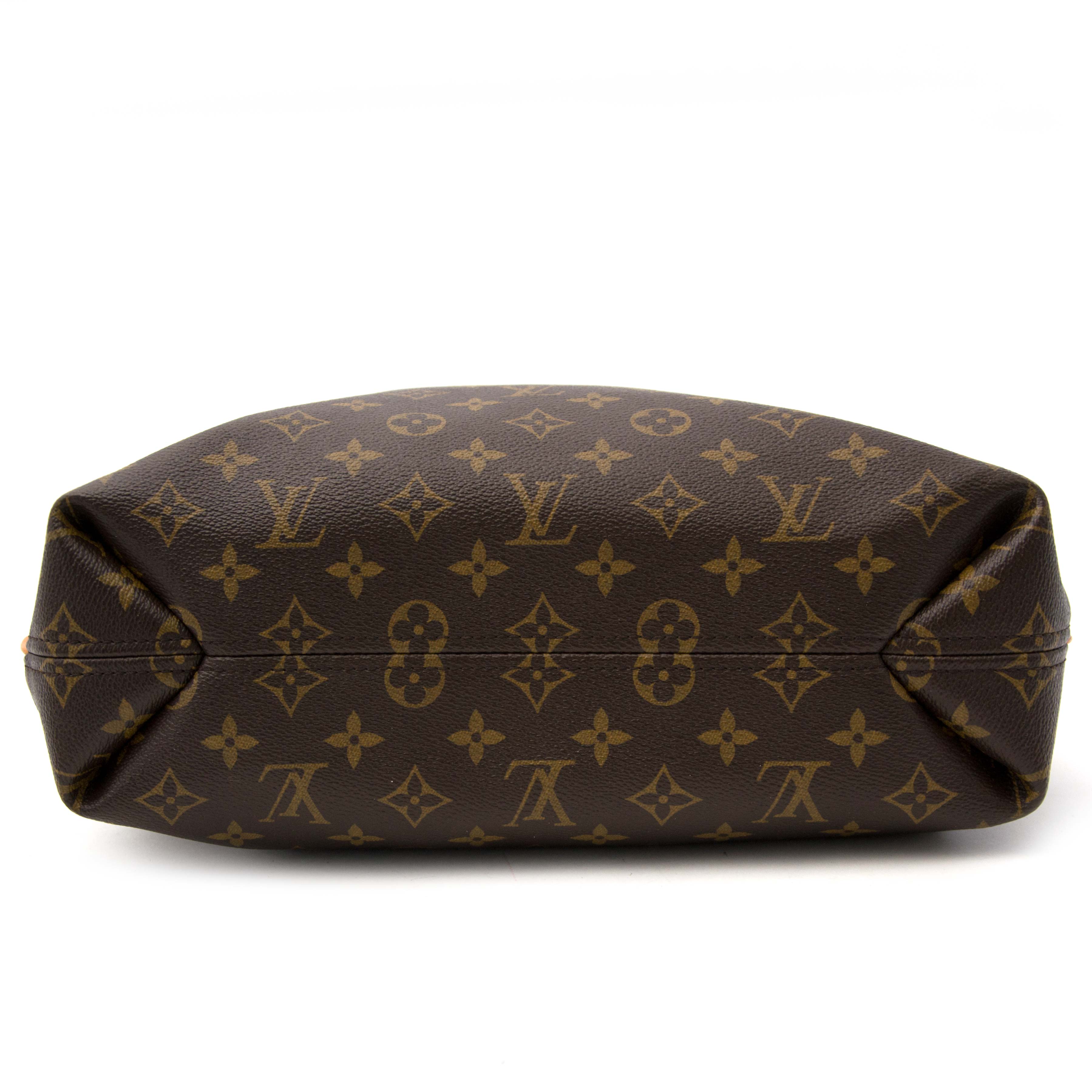 Louis Vuitton Monogram Sully PM Brown ref.787828 - Joli Closet