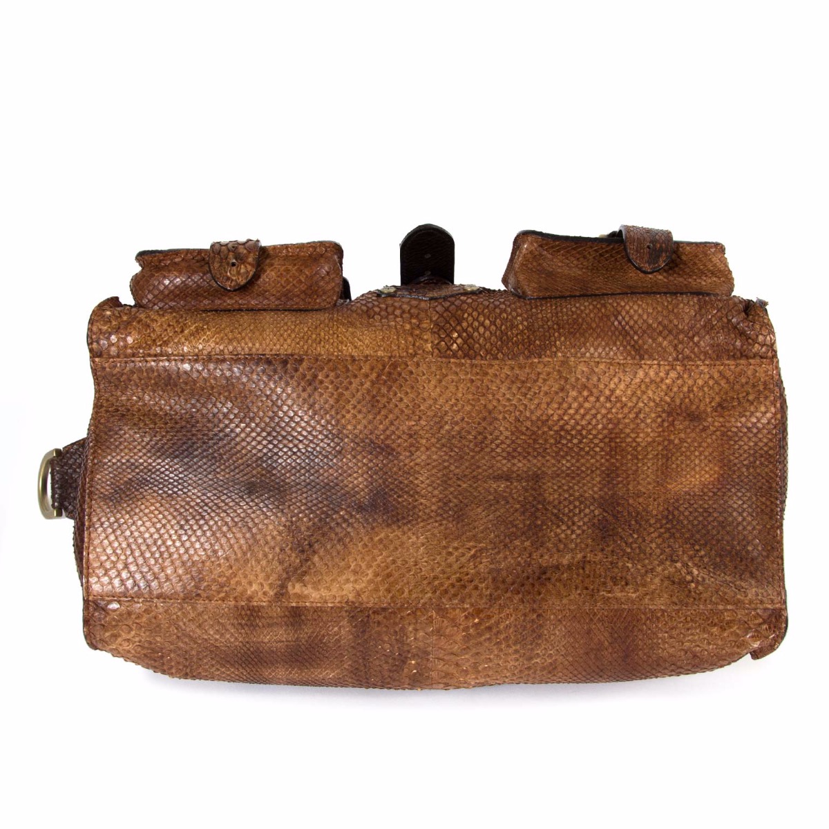 mulberry-python-bag-under_1.jpg