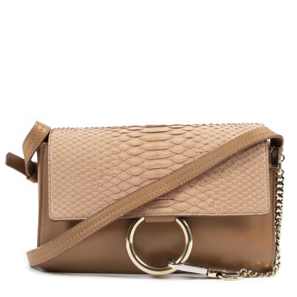 Chloe faye store python
