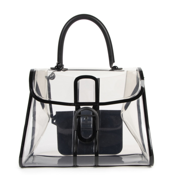 Delvaux Brillant X Ray Limited Edition Labellov Buy and Sell Authentic ...