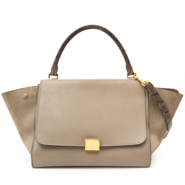 バッグ CELINE TRAPEZE SUEDE LEATHER HAND BAG CELINE Authentic trapeze bag NWT Multicolor Leather/Suede | eBay