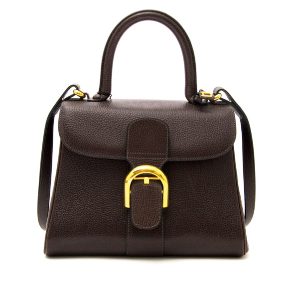 Delvaux Brillant PM Brown Labellov Buy and Sell Authentic Luxury