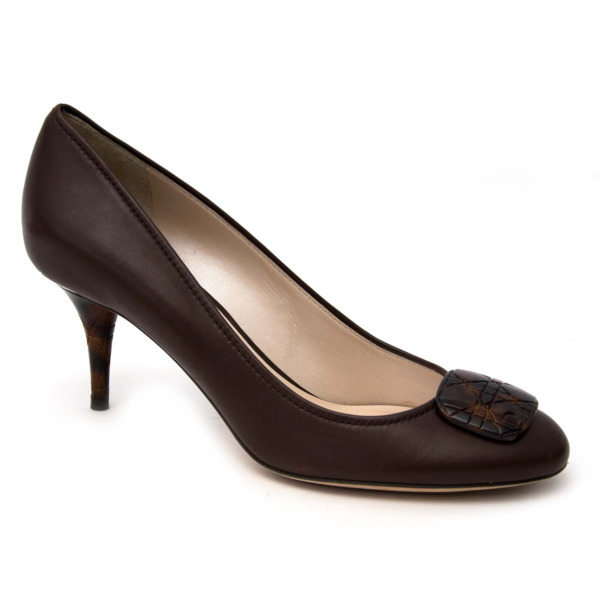tortoise heel