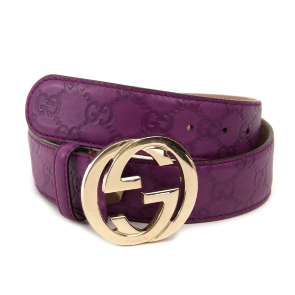 purple gucci belt