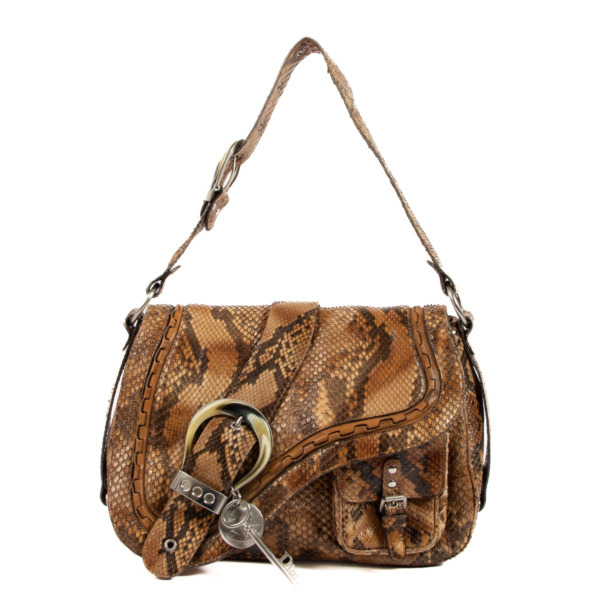 Dior saddle bag python online