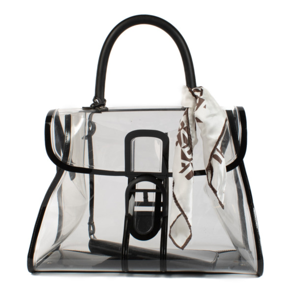 Delvaux x ray bag outlet