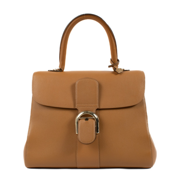 Delvaux Vegetal Sellier Brillant MM ○ Labellov ○ Buy and
